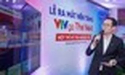 VTVgo The Next ra mắt, khán giả có thêm cả kho phim bom tấn, thể thao và tin tức quốc tế