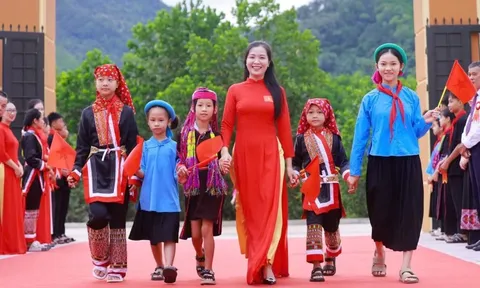 Giải bài toán học thật, thi thật
