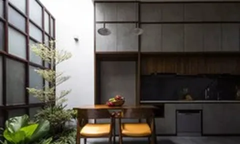 Nhà 4m ngang đầy nắng, gió và cây xanh