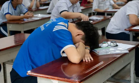 TP.HCM yêu cầu trường học chủ động phát hiện nguy cơ bắt nạt học đường