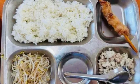 Sau loạt phản ánh ăn bán trú, Hà Nội yêu cầu rà soát