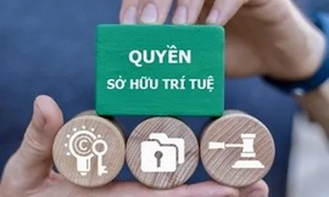 Thực thi quyền sở hữu trí tuệ: Tăng xử lý hình sự, siết vi phạm trên môi trường số