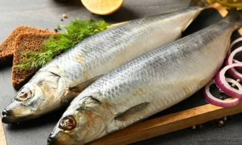 Loại cá tốt trên thế giới ở Việt Nam đang vào mùa giá rẻ bèo, thịt chắc, giàu omega-3 hơn cá hồi giúp trẻ thông minh