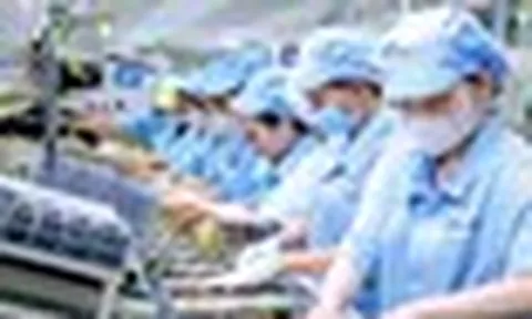 Bộ Nội vụ nói về đề xuất giảm thời giờ làm việc xuống 44 hoặc 40 giờ/tuần