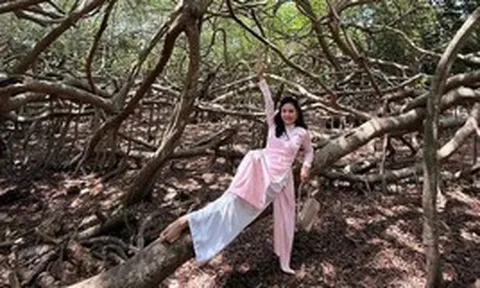 Nữ diễn viên quê Tiền Giang tiêu chục tỷ đồng mở khu sinh thái 50.000m2 dù chồng đại gia can ngăn