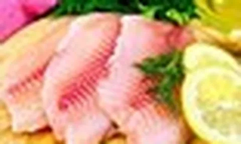 Loại cá bán đầy chợ Việt, được Nhật mua làm sashimi tiếp tục có thêm cơ hội ‘đổi đời’: Hướng tới xuất khẩu 500 triệu USD