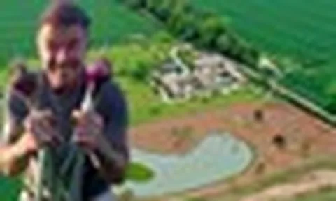 Toàn cảnh khu đất 100.000m2 là trang trại nuôi gà của David Beckham