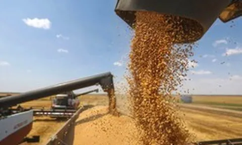 Đột phá mới nhất của Nga có thể tăng tốc lĩnh vực xuất khẩu số 1 thế giới của "xứ Bạch Dương"