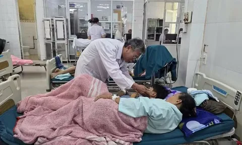 Vụ ngộ độc thực phẩm ở Quảng Trị: Phát hiện Salmonella trong chả bò, chả cá, rau, thịt rim