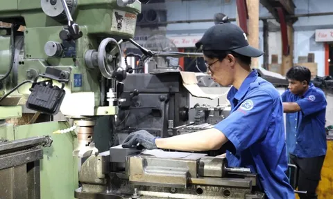 TP.HCM: Nhiều trường nghề mất tên, người học có bị ảnh hưởng?