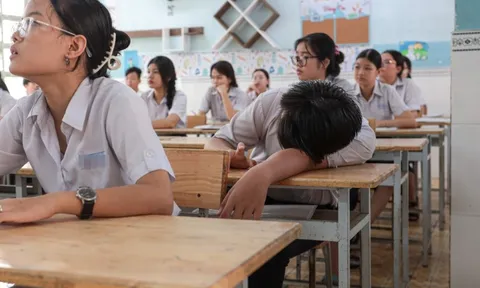 TP.HCM lập kế hoạch phối hợp phòng ngừa, xử lý bạo lực học đường