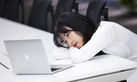 Nhà trường ở đâu, làm gì khi thị trường việc làm liên tục biến động?