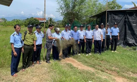 Tăng cường kiểm tra, kiên quyết xử lý bẫy bắt chim yến tại Ninh Hoà