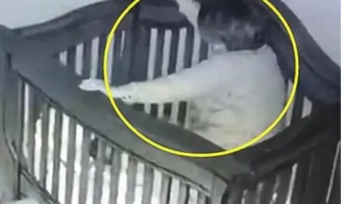 Bà nội bế cháu đi ngủ lúc nửa đêm nhưng xảy ra sự cố thót tim, người mẹ xem camera liền đăng ngay lên mạng