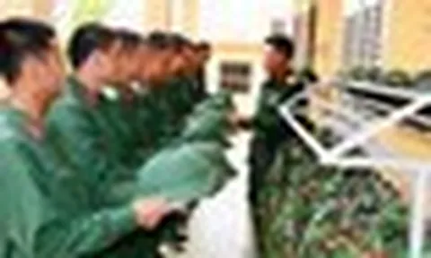 Đề xuất nâng mức trợ cấp cho hạ sĩ quan, binh sĩ xuất ngũ