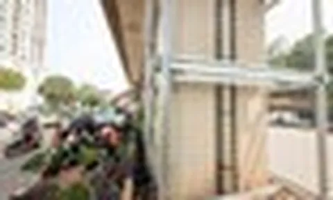 Loạt trụ cầu đường sắt, cầu vượt ở Hà Nội bắt đầu được phủ xanh
