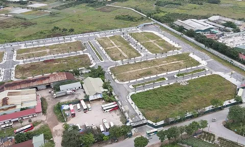 Đất nền giảm giá sâu: Cơ hội đã đến với người mua thực?