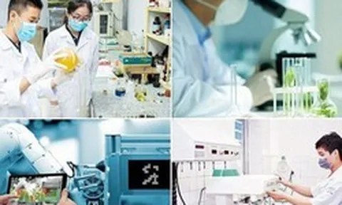 Quy định cơ chế thu hút chuyên gia, tài năng trẻ trong hoạt động đổi mới sáng tạo, khai thác dữ liệu