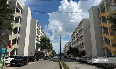 Tp.HCM cần mở rộng nhà ở cho thuê để giảm áp lực an cư