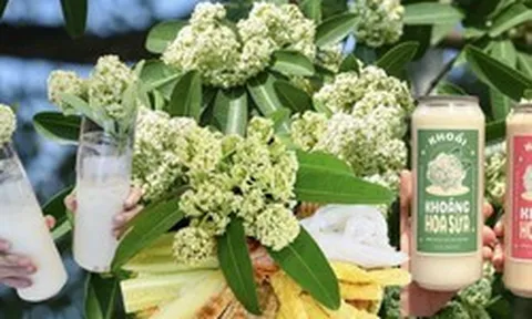 Thực hư trà sữa, nước khoáng hoa sữa gây sốt tại Hà Nội, uống vào thực khách liền “bất ngờ”