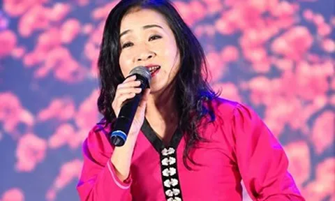 Đại tá, NSND Vi Hoa: Đón cặp song sinh ở tuổi 40 và hậu phương của người lính