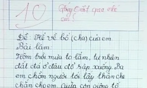 Học sinh lớp 4 viết bài văn kể về bố đạt điểm 10 tuyệt đối, đọc đến đâu giáo viên xúc động đến đó