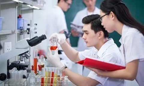 Đề xuất nhân tài được lựa chọn cộng sự, quyết định mức lương thưởng