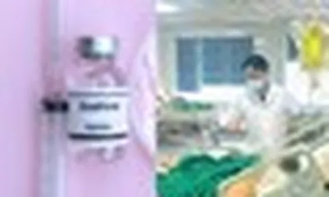 Tự ý truyền trắng tại nhà, người phụ nữ 51 tuổi ở Hà Nội nhập viện suy đa tạng, phải lọc máu liên tục