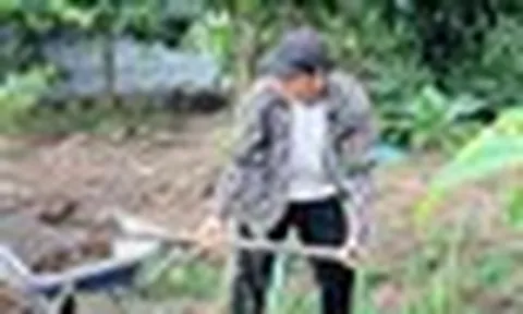 Nam diễn viên thôi chức lãnh đạo, bỏ phố về Đồng Tháp sống trong nhà vườn 20.000 m2