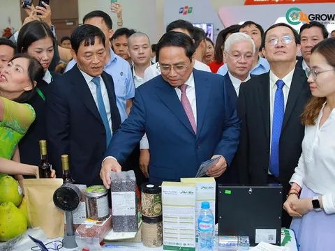 Hành trình phát triển doanh nhân khởi nghiệp Việt từ Dự án Co4Growth