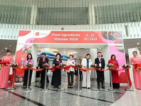 Chính thức khai mạc Triển lãm chuyên ngành Nguyên liệu & Phụ gia Thực phẩm & Đồ uống – Fi Vietnam 2024