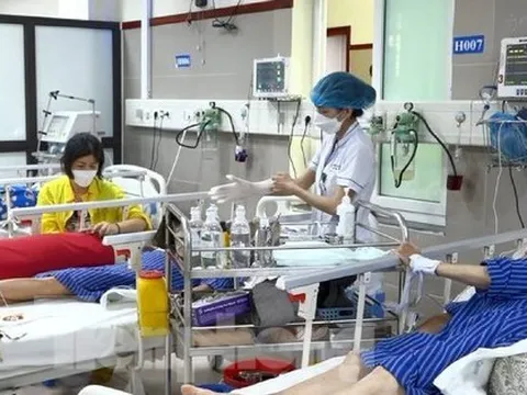 Lạng Sơn: 3 người cấp cứu vì ăn côn trùng lạ