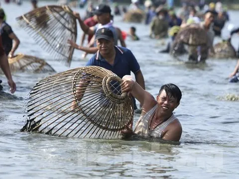 Cả trăm người 'đội nắng', lặn ngụp nơm cá dưới hồ