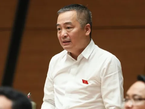Đại biểu Nguyễn Lân Hiếu: Việt Nam đủ điều kiện công bố hết dịch COVID-19