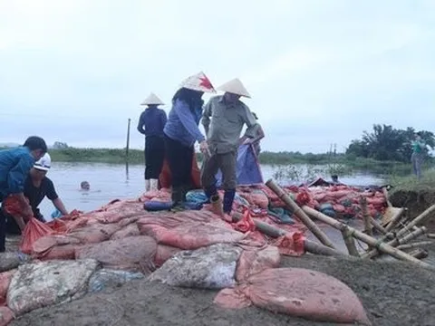 Bảo vệ đê điều là bảo vệ tính mạng, tài sản người dân