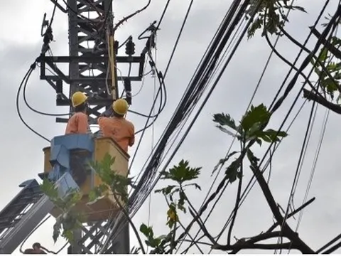 Thủ tướng chỉ đạo khẩn trương thực hiện bảo đảm cung ứng điện