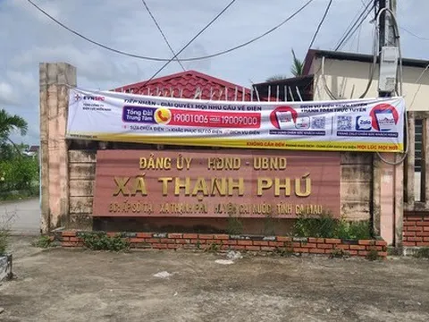 Kỷ luật Đảng phó chủ tịch xã vi phạm giao thông khai là 'lao động tự do'
