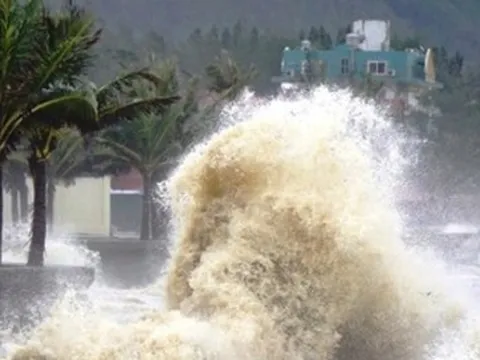 Chủ động ứng phó áp thấp nhiệt đới tránh thiệt hại nghiêm trọng về người