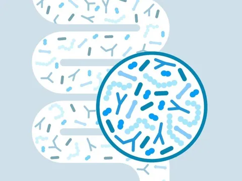 Công dụng của Probiotics đối với sức khỏe của trẻ