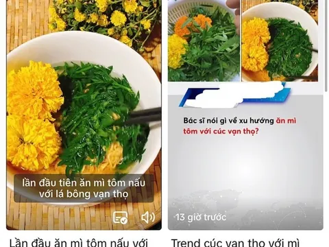 Mối nguy ngộ độc khi ăn cúc vạn thọ với mì tôm