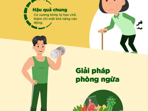 Các dưỡng chất giúp phòng ngừa lão hóa xương ở người trung niên