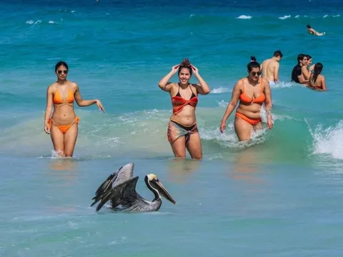 Cảnh tượng lạ giữa kỳ nghỉ xuân 'khét tiếng' ở Miami Beach