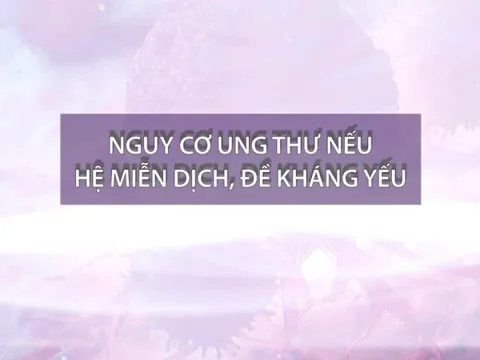 Nguy cơ mắc bệnh khi suy giảm miễn dịch người cao tuổi