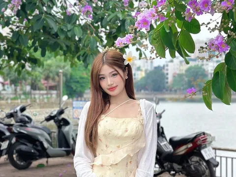 Cây hoa bằng lăng gần hồ Hoàng Cầu bỗng dưng nổi tiếng