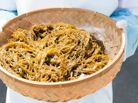 Lợi ích của chất fucoidan từ tảo nâu với sức khỏe