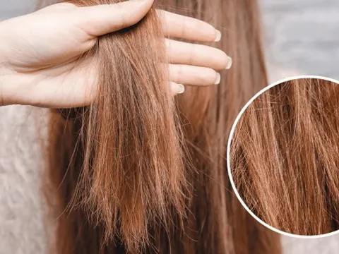 Cẩm nang phục hồi tóc hư tổn, lấy lại vẻ suôn mượt sau 4 tuần