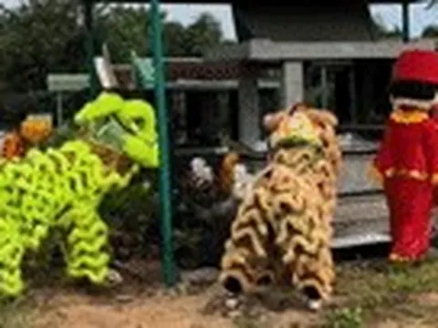 Người cha ở Gia Lai thuê múa lân trước mộ con trai 3 tuổi, dân mạng rưng rưng