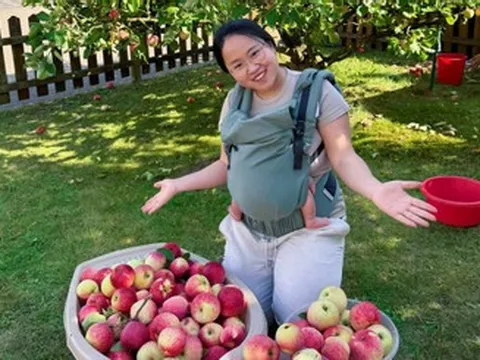 Cô dâu Việt khoe 'khu vườn triệu đô' của bố chồng ở Đức, hái quả chín mỏi tay