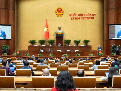 Đề xuất phạm nhân được hiến mô, bộ phận cơ thể, lưu trữ trứng, tinh trùng