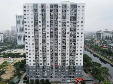 Phát triển nhà cho thuê: Yêu cầu cấp bách nhưng thiếu giải pháp đủ mạnh